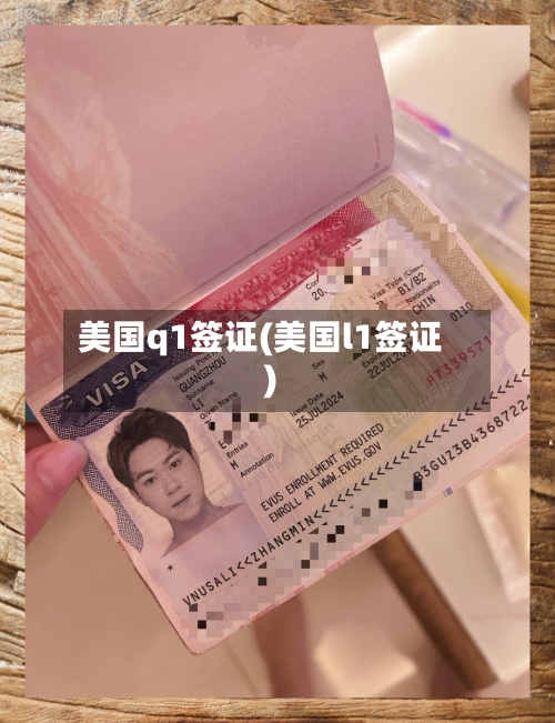 美国q1签证(美国l1签证)