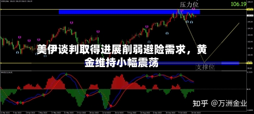 美伊谈判取得进展削弱避险需求，黄金维持小幅震荡-第3张图片