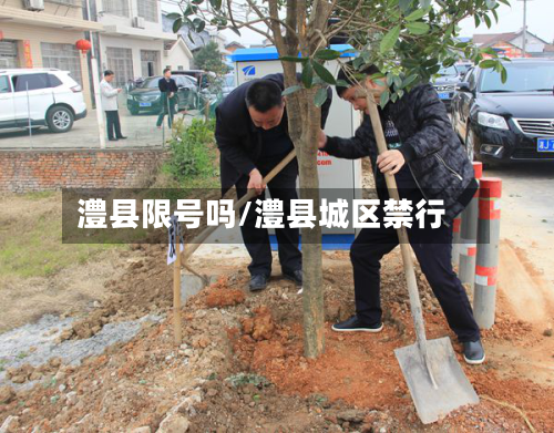澧县限号吗/澧县城区禁行