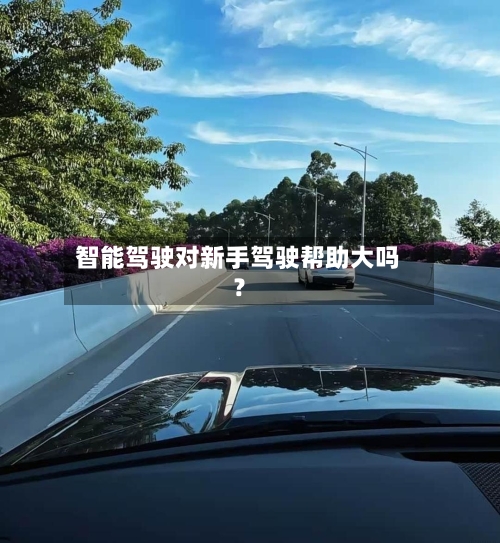 智能驾驶对新手驾驶帮助大吗？-第2张图片