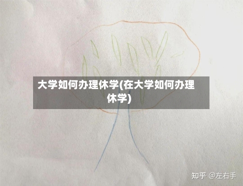 大学如何办理休学(在大学如何办理休学)
